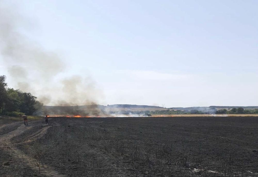 Încă un incendiu de lan de grâu în județul Arad -  ard hectare de culturi