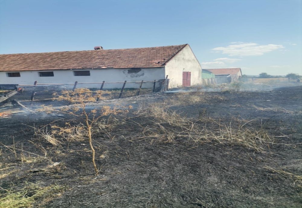 Apel disperat de la pompieri: Stop incendiilor de vegetație