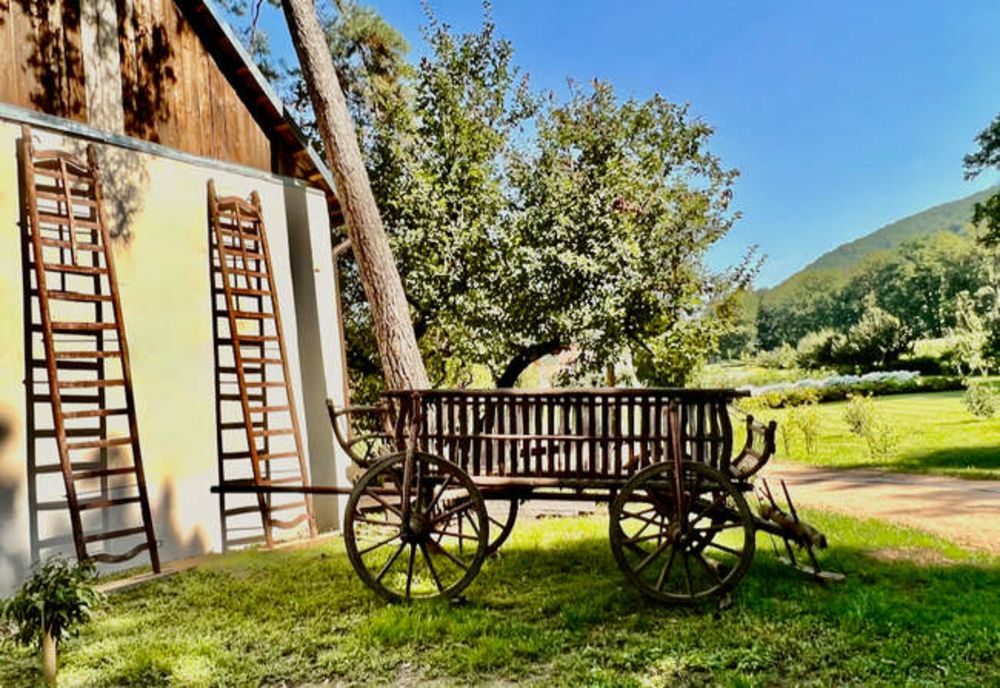 Căruță veche de 100 de ani, expusă în Parcul Regal de la Săvârşin