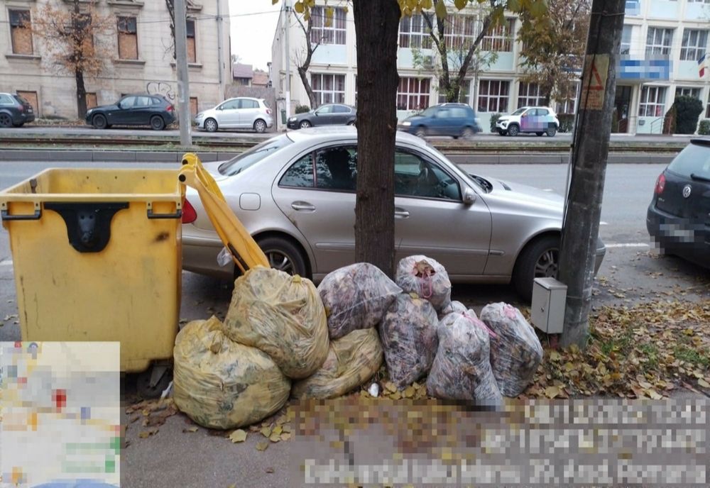 Colectarea selectivă, la control: saci cu resturi vegetale, abandonați lângă tomberoane
