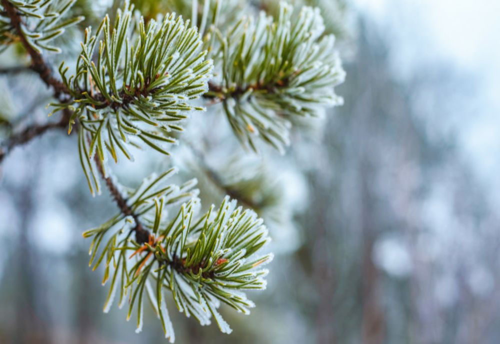 Vremea în vestul țării, la început de săptămână