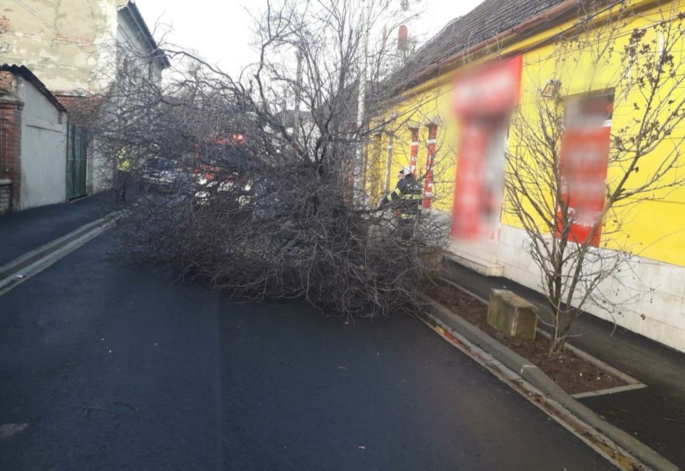 Bilanțul valului de intensificări ale vântului care a afectat județul Arad