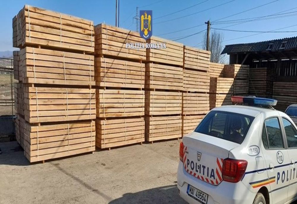 Controale la transportatori și depozitele cu lemne