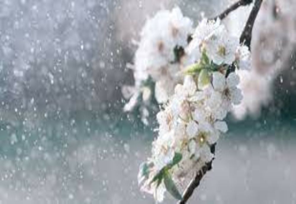 Vreme caldă în vestul țării