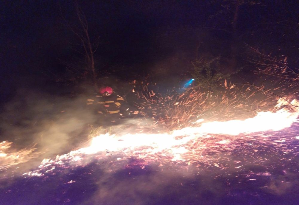 Incendiu la marginea pădurii, intervenție dificilă a pompierilor arădeni