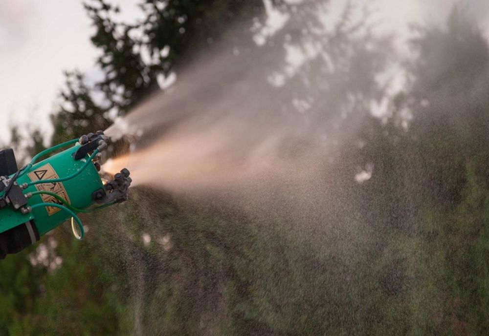 Dezinsecție la Arad. Avertisment de la primărie
