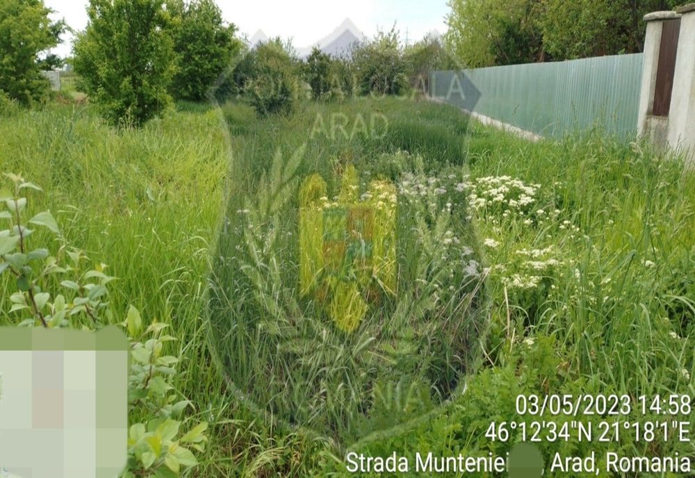 Controale și amenzi, la Arad. Curățenia din jurul locuințelor, în vizorul poliției locale