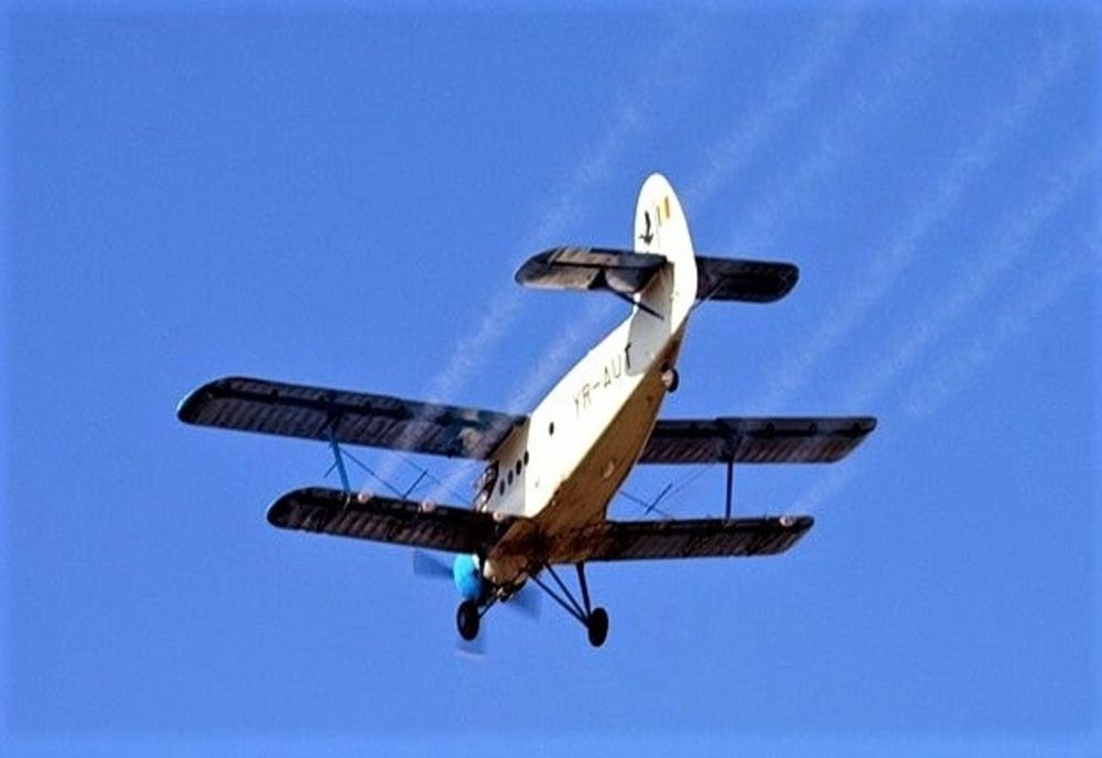 La Arad începe dezinsecția din avion