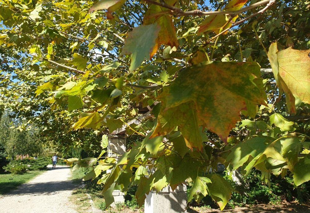 VREMEA 13 SEPTEMBRIE. CUM VA FI VREMEA ÎN ȚARĂ