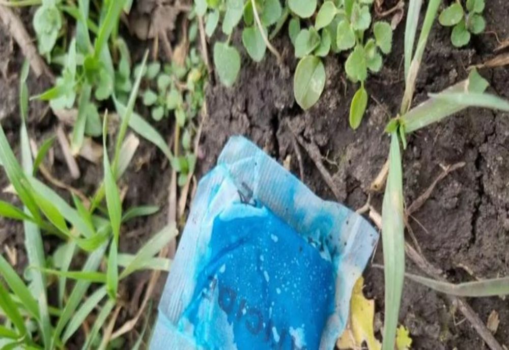 IMAGINI de coșmar în județul ARAD. Zeci de căprioare au murit, otrăvite cu substanțe pentru șoareci