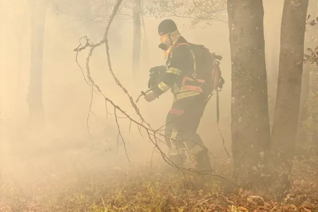 71 de intervenții ale pompierilor arădeni în 48 de ore, cu incendii de vegetație la Arad și Ghioroc