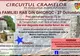 Arad: Circuitul Cramelor continuă, sâmbătă, în Podgoria Aradului, la Crama Familiei Rab. Ce cuprinde pogramul