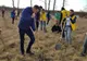 Arad: Circa 1.500 de copaci, plantați pe malul Mureșului. Primarul Gheorghe Falcă, printre cei care au sădit un copac