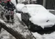 Arad: Mai mulți copaci rupți de zăpadă, în municipiul Arad