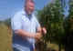Arad: 700 de sticle cu vin de la unul dintre cei mai renumiți producători din vestul României, donate tuturor cadrelor medicale aflate în linia întâi în lupta cu noul coronavirus