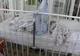 Arad: Principala secţie pediatrică a Spitalului Clinic Judeţean de Urgenţă Arad, supraaglomerată. Sunt cazuri cu câte doi copii într-un pat, iar mămicile dorm în pătuțuri cu copiii