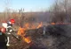 Arad: Incendiu puternic de vegetație uscată, sâmbătă, în județul Arad. Atenționările lansate de către pompieri