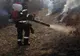 Arad: Incendiu de vegetație uscată pe circa 4 ha, județul Arad, chiar în aceste momente. Intervenția pompierilor, îngreunată