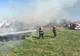 Arad: Mai multe animale au murit, după ce adăpostul în care se aflau a fost cuprins de foc, extins de la un incendiu de miriște scăpat de sub control 