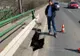 Arad: O bucată din carosabilul unui important pod peste Mureș, din Arad, s-a surpat. Viceprimarul Călin Bibarț: "mici probleme (...), dar le rezolvăm"