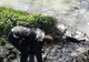 Arad: Anchetă internă într-o primărie din Arad, după ce stația epurare a orașului este suspectă de poluare