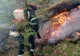 Arad: Al 3-lea incendiu de vegetație uscată într-o localitate din Arad, în cursul unei săptămâni. Pompierii intervin, duminică seara, în mai multe locuri din județ