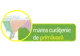 Arad: Câteva sute de persoane, așteptate la "Marea curățenie de primăvară" în orașul Pecica, din județul Arad