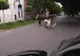 Arad: Proprietarul caprelor care s-au plimbat prin centrul Aradului, amendat cu 300 de lei. Nu au fost recuperate toate animalele