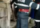 Arad: AUDIO BILANȚUL ISU Arad pentru inundații: 7 persoane și peste 600 animale și păsări, evacuate și câteva zeci de gospodării inundate. Circa 110 pompieri, în misiune timp de mai multe zile