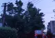 Arad: AUDIO Crengi de 10 metri lungime, rupte și atârnate de firele de curent. Au intervenit imediat pompierii din Arad