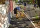 Arad: Peste 50 de câini, capturați de pe străzile din municipiul Arad și integrați în Adăpostul Public al orașului