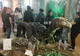Arad: FOTO AUDIO Cum au reacționat cei care au acceptat provocarea de a petrece noaptea la muzeu printre dinozauri. Replicile extraordinare ale copiilor