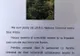 Arad: Primarul unei comune din județul Arad face apel la localnici ca să cumpere brazi de Crăciun în ghivece pentru a-i planta apoi în cimitir sau în parc