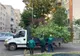 Arad: "Curățenia de Primăvară" începe luni, 17 noiembrie. PROGRAM COMPLET