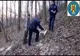 Arad: AUDIO FOTO VIDEO Tăietori ilegali de lemne în pădurile din zona de munte, descoperiți de jandarmii din Arad. Cum arată zona