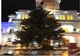 Aard: AUDIO FOTO VIDEO Bradul de Crăciun a ajuns în fața Primăriei Arad. Cum va fi decorat. Când se aprind luminile și vine Moș Nicolae
