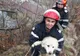 Arad: Pentru că fiecare viață contează! Câine blocat pe o stâncă, salvat de către pompierii din Arad