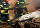 Arad: AUDIO Pompierii din Arad fac din nou apel la populație: 6 incendii de vegetație uscată, în doar în ultimele 24 de ore