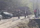 Arad: Amendă de 80.000 de lei, într-o pădure din județul Arad. Ce spune Garda de Mediu Arad