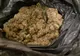 Arad: AUDIO Circa 2 kilograme de cannbis, în valoare de 40.000 lei, confiscate într-o zonă centrală din Arad