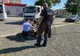 Fată de 19 ani, la un pas să nască pe stradă, în Arad. Polițiștii i-au sărit în ajutor