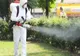 Acțiuni de dezinsecție și deratizare în  oraș. Ce trebuie să facă oamenii pentru ca acestea să fie eficiente