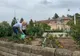 Primarul i-a scos pe angajați la spații verzi