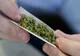 A consumat cannabis și s-a urcat la volan, fără permis
