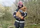 Salvat și adoptat. Pompierii din Arad au mai făcut o faptă bună
