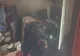 O femeie a murit după ce veioza improvizată din dormitor a luat foc