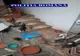 Câini salvați de polițiști. Animalele trăiau în condiții greu de imaginat