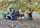 Accident grav în județul Arad