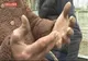VIDEO Dramele reale din România săracă - NEPUTINȚA, nevăzută de politicienii de la București. ADEVĂRUL tulburător