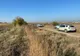 Cadavrul descoperit în Arad este al unei fetiţe de 5-6 ani; moartea a fost provocată de o lovitură în cap
